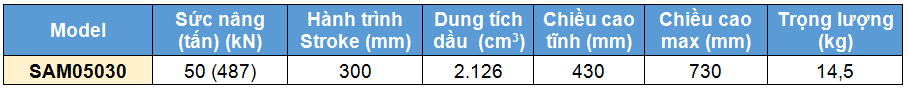 Kich 1 chieu bang nhom 50 tan 300 mm, kich 1 chieu, SAM Single acting aluminium cylinder